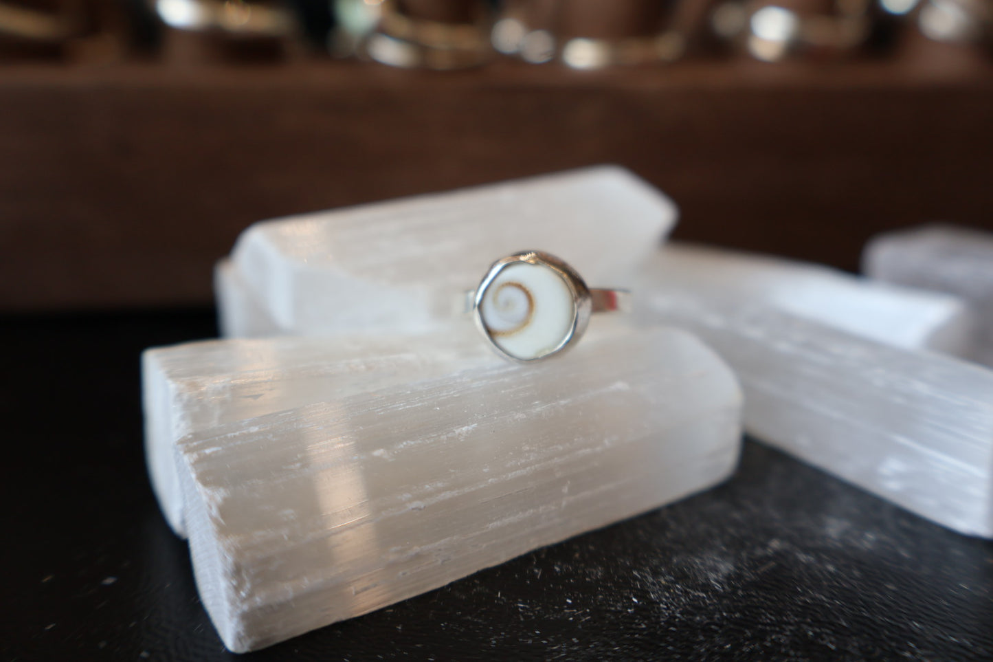 Shiva Shell size 8