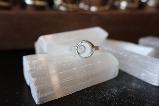 Shiva Shell size 8